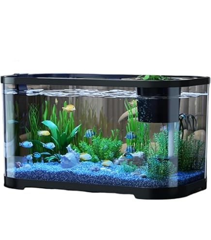 Amazon | WXQ水槽セット 透明な水槽本体 小型魚類 水換えが簡単給餌口